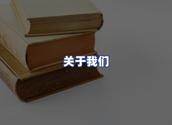 专业团队